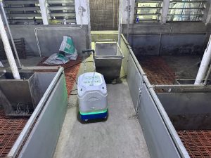 Pig Farm Decontamination Service