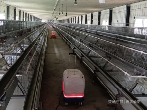 Poultry Farm Decontamination Service