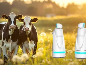 Cattle Farm Decontamination Service