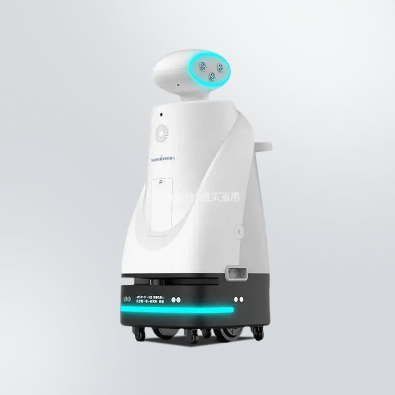 Vantsteri Kinopro Robot